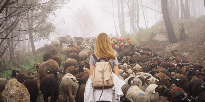 caminhada da transumância