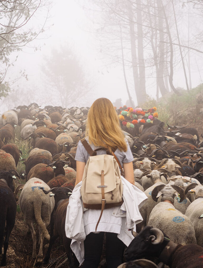 caminhada da transumância