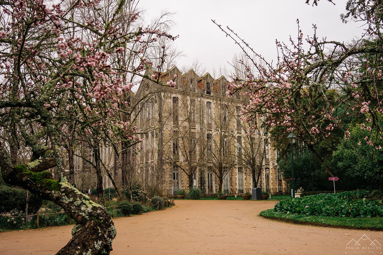 empresa de limpeza de vidros e janelas