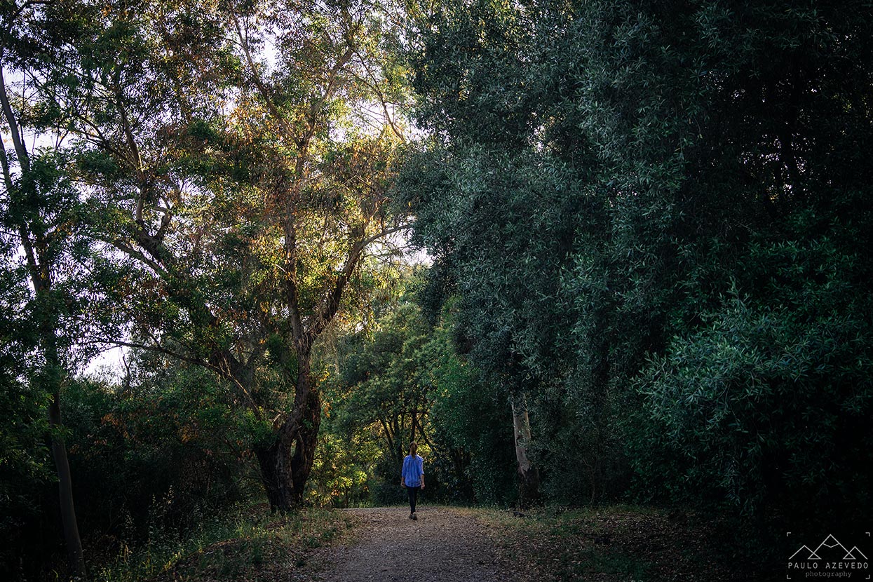 Trilho no Parque Florestal de Monsanto, Lisboa