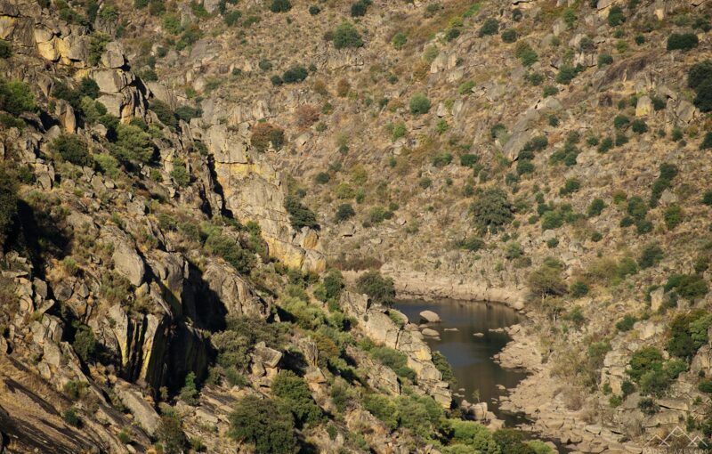Rio Côa